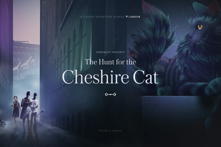 The Hunt for the Cheshire Cat website preview